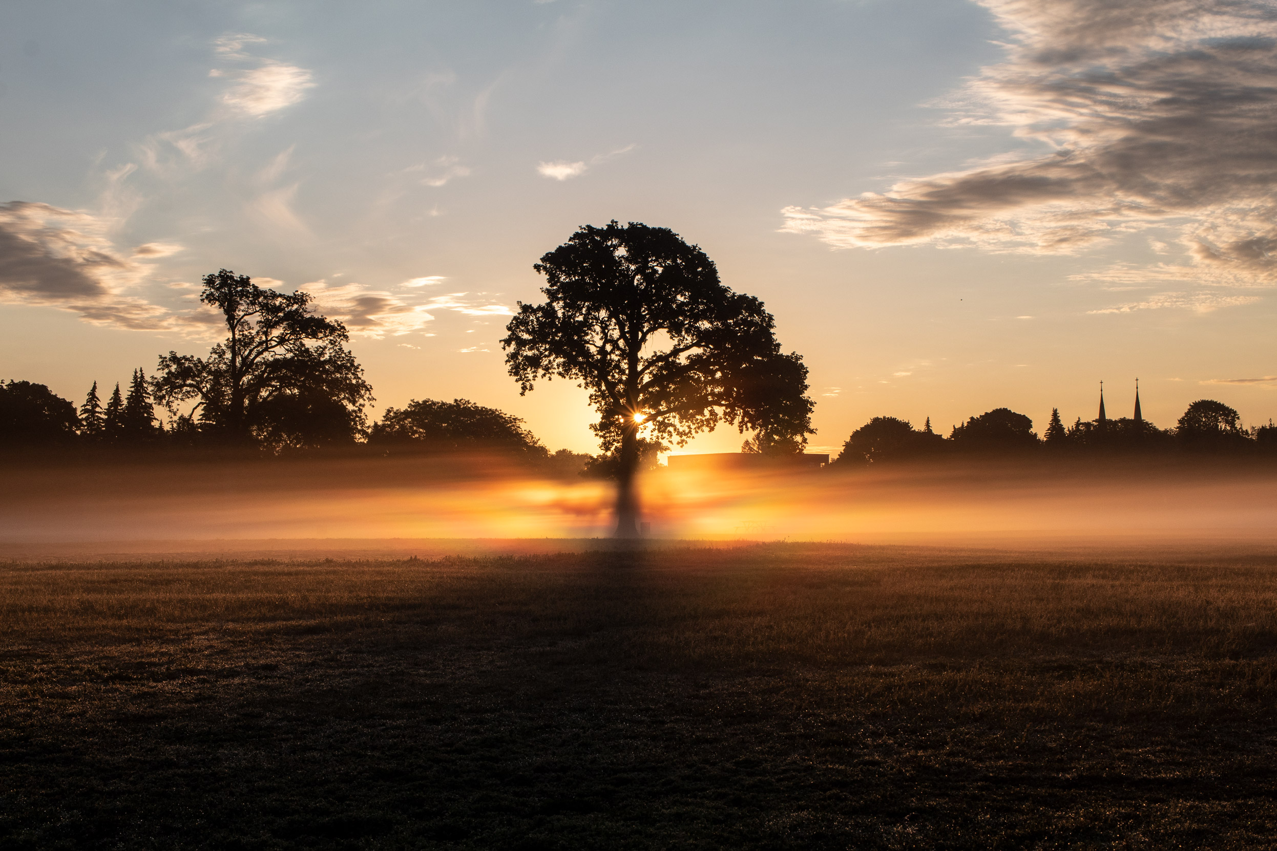 Tree on a field surrounded by fog. The sun is rising behind the tree, turning the fog various hues of orange, yellow, and red